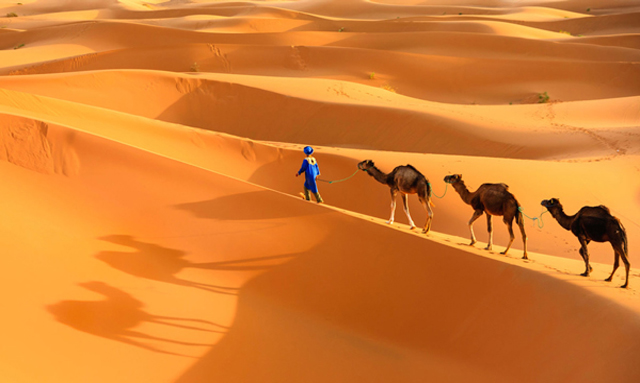 Dunes de Merzouga