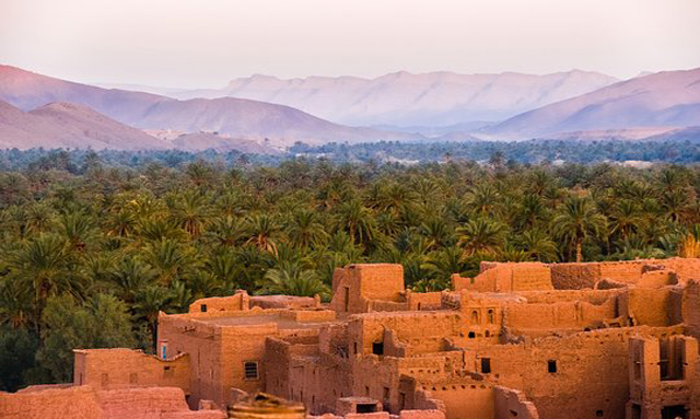 Palmeraie et village en terre de la vallée du Drâa